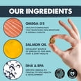 thumbnail image 3 of Mighty Paw Omega 3 Fish Oil Dog Chews, Skin & Coat Supplements, Bacon Flavor, 120 Count, 3 of 8