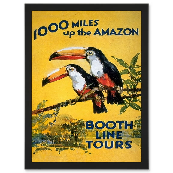 Amazon Toucan River Brazil South America Jungle Rain Forest Vintage Travel Advert Artwork Framed Wall Art Print A4