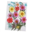 thumbnail image 2 of 25pcs Multiple Mixed Natural Real Pressed Dried Flowers Leaves DIY Crafts F, 2 of 6