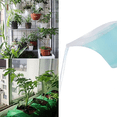 thumbnail image 4 of 4 Pack Plastic Funnel Pitcher,Measuring Cup with Long Spout,Large Capacity Easy Pour Cup,Perfect for Bakeware Mold,Oils,Watering Plants(1000ml), 4 of 4