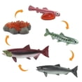 thumbnail image 4 of Safari 100267 Figura Ciclo De Vida De Un Salmón Multicolor, 4 of 4