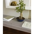 thumbnail image 2 of d-c-fix self-Adhesive Film Sonoma Oak Light Wood, 2 of 7