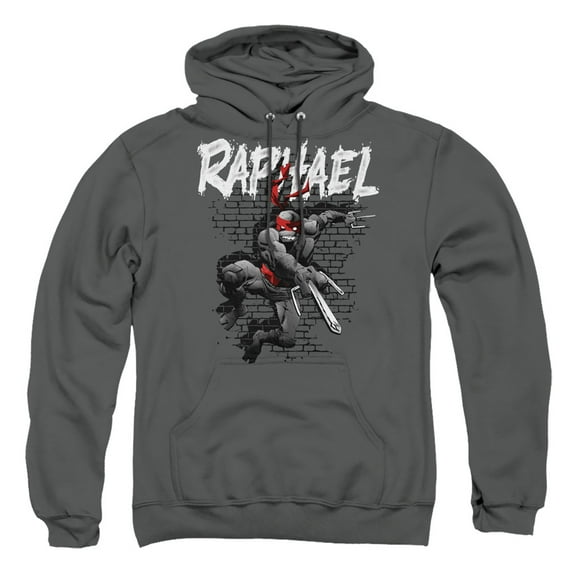 TMNT Teenage Mutant Ninja Turtles Unisex Adult Pull-Over Hoodie