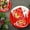 Red, variant on 10 Pack Christmas Paper Plates 7 Inch - Disposable Holiday Party Supplies, Red Snowflake Design, Waterproof Tableware for Thanksgiving, Christmas Dinner, BBQs