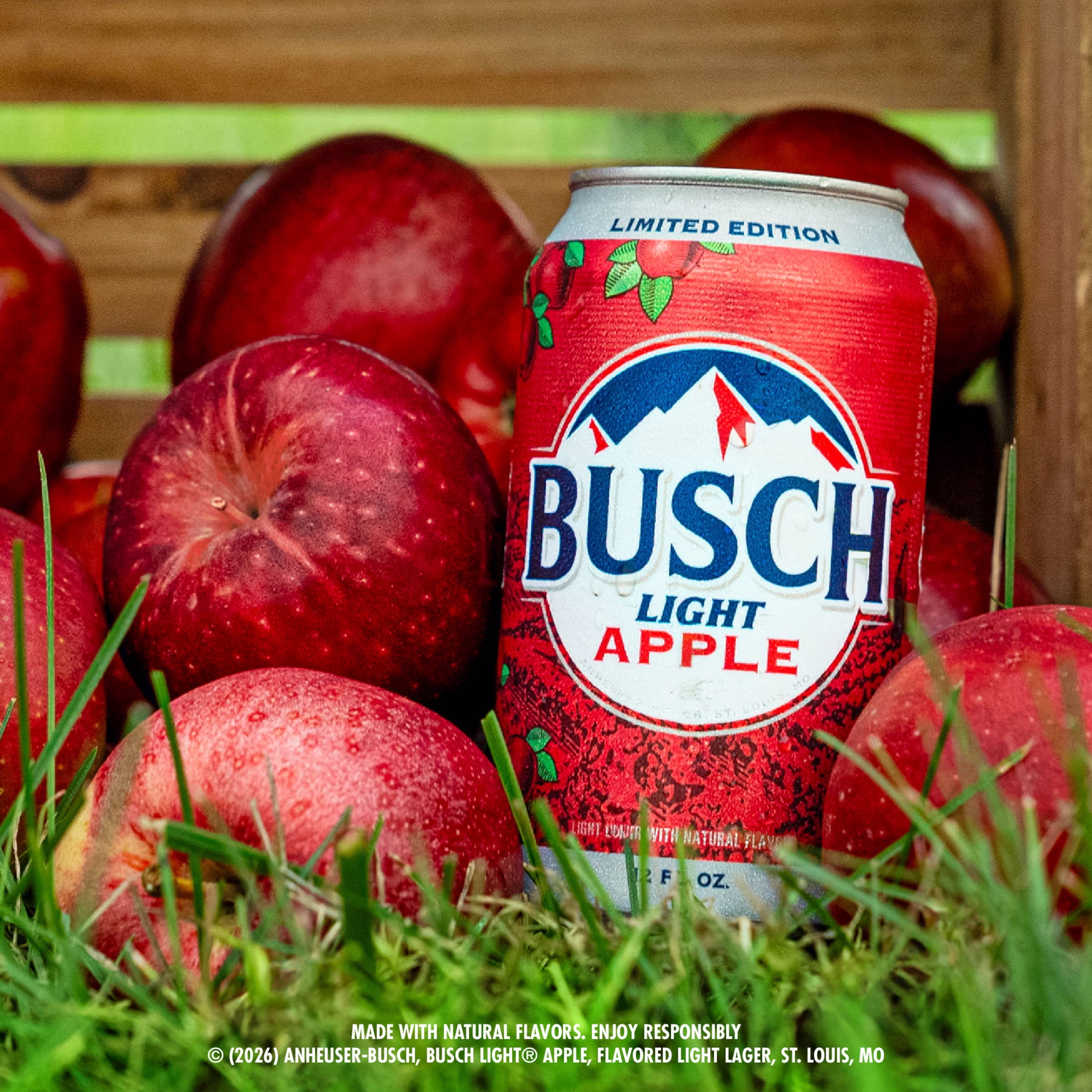 Busch Light Apple American Lager Beer 30 Pack, 12 fl oz Cans , 4.1% ABV