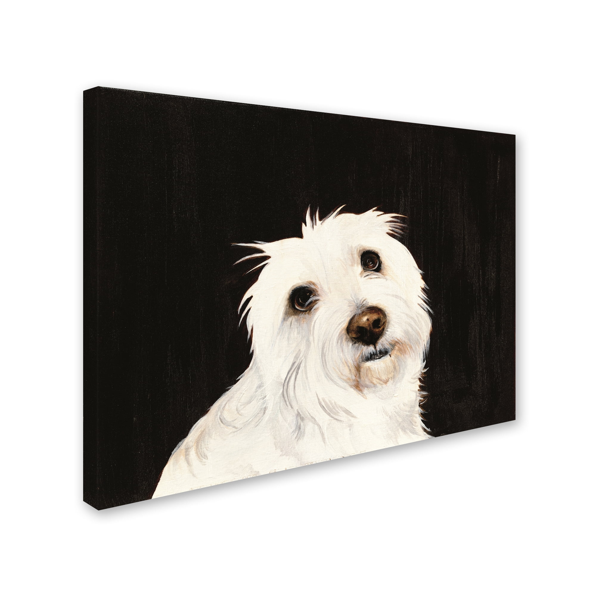 Trademark Fine Art 'Ruby' Canvas Art by Patsy Ducklow