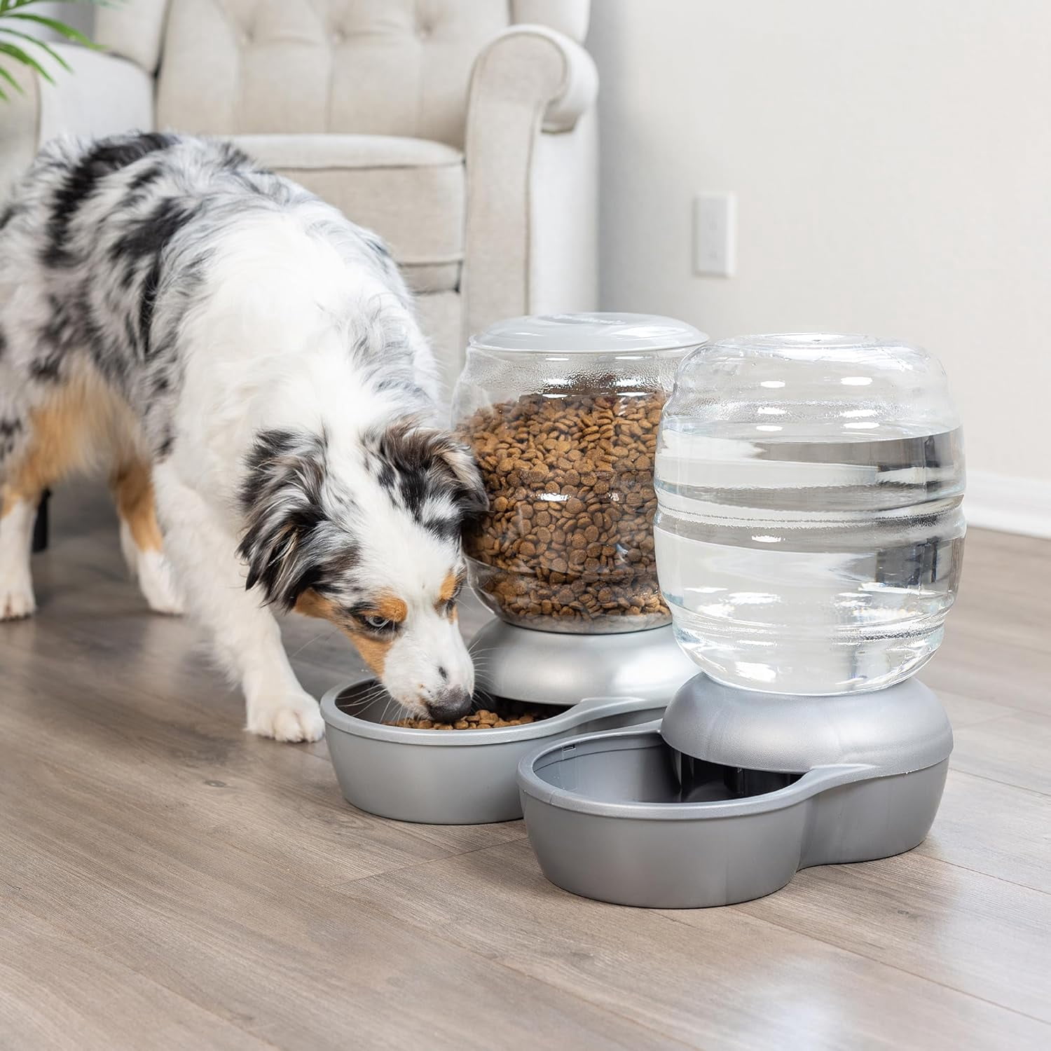 Replendish Automatic Cat and Dog Feeder,  Peacock Blue, 10 LB Capacity Gravity Food Dispenser for Multi-Pet Households