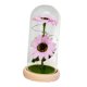 thumbnail image 5 of Girasol en Cúpula de Cristal Regalos con Luz Girasol Artificial en Cúpula de Cristal para Estilo C, 5 of 9