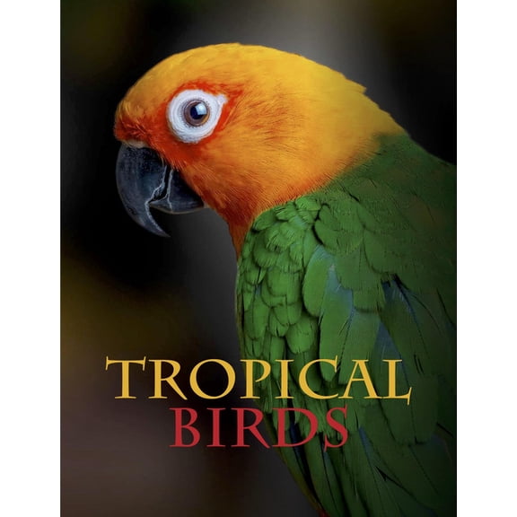 Animals in Photographs Tropical Birds, (Hardcover)