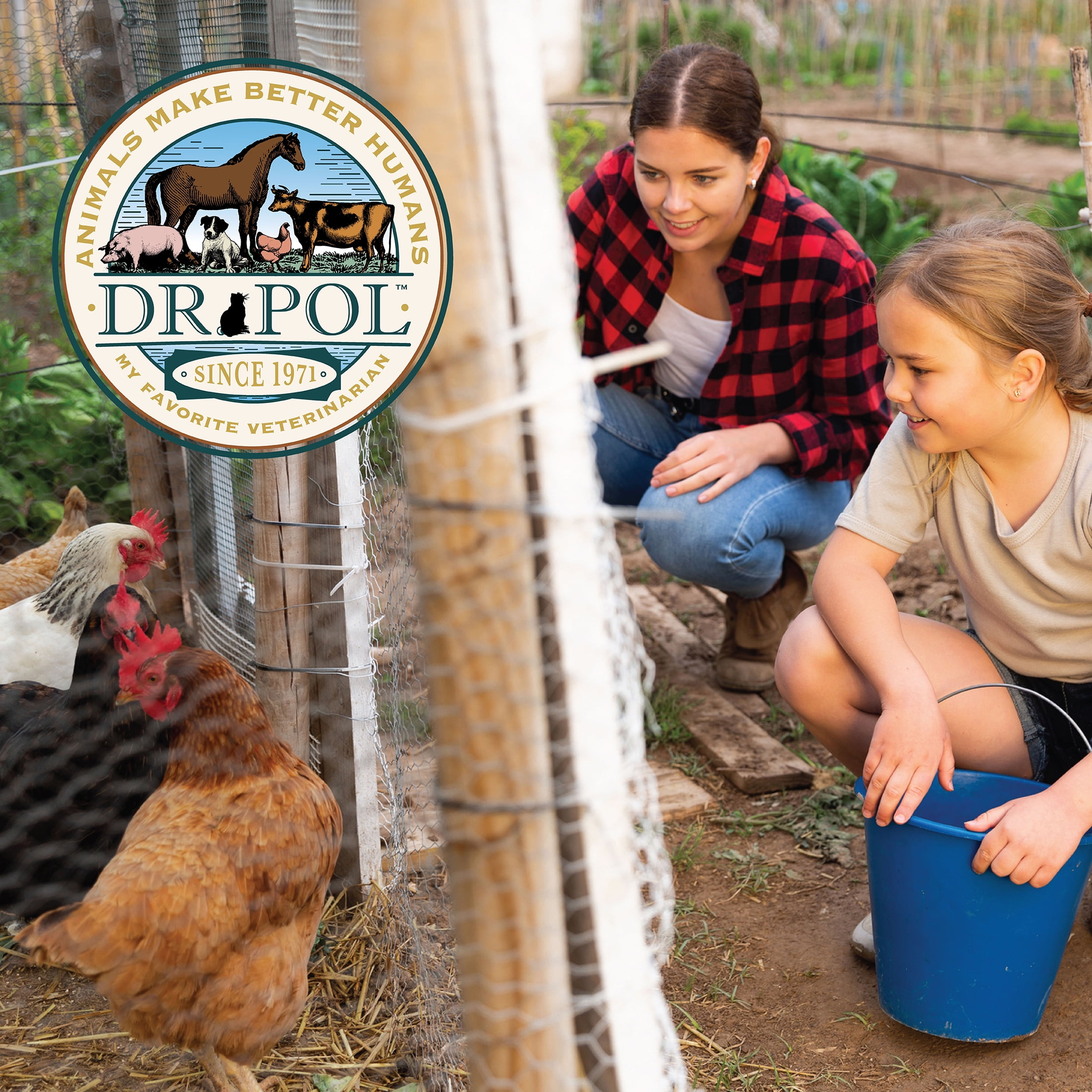 (2 pack) Dr. Pol Healthy Balance 16% Poultry Pearls Layer Chicken Feed, 30 lb. Bag for Chickens and other Poultry
