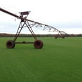 Bermuda 500 Sq Ft Sod Pallet Walmart bermuda-500-sq-ft-sod-pallet-walmart