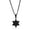 Black Plated, variant on Men's Gold Plated Star of David Necklace in Stainless Steel - Hypoallergenic Necklace for Men - Fine Jewish Star Pendant Necklace
