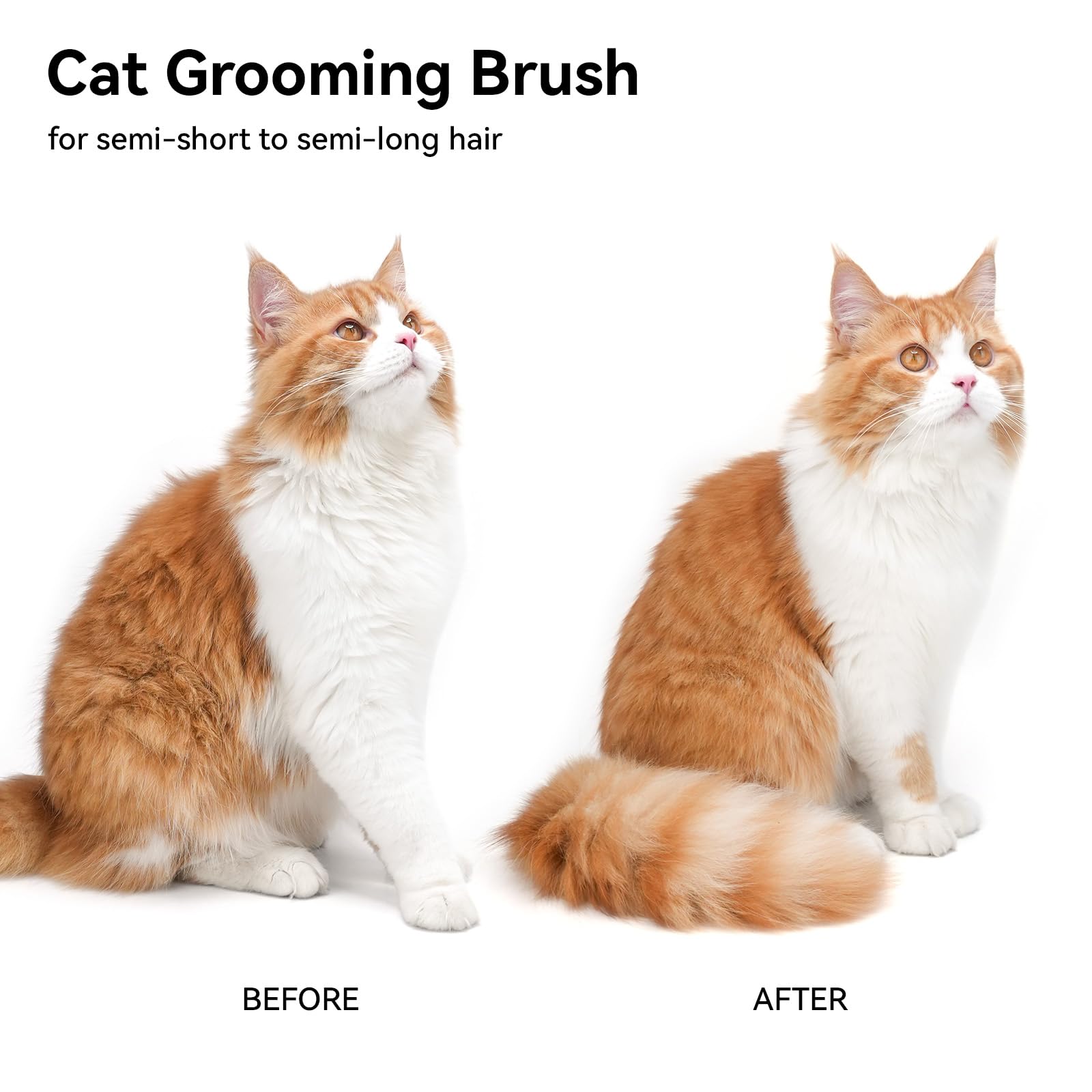 Aumuca Cat Brush with Self-Cleaning Button photo 7