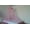 Pink, variant on OctoRose Princess Crown Bed canopy , mosquito net for crib, twin, full, queen or king size (White)