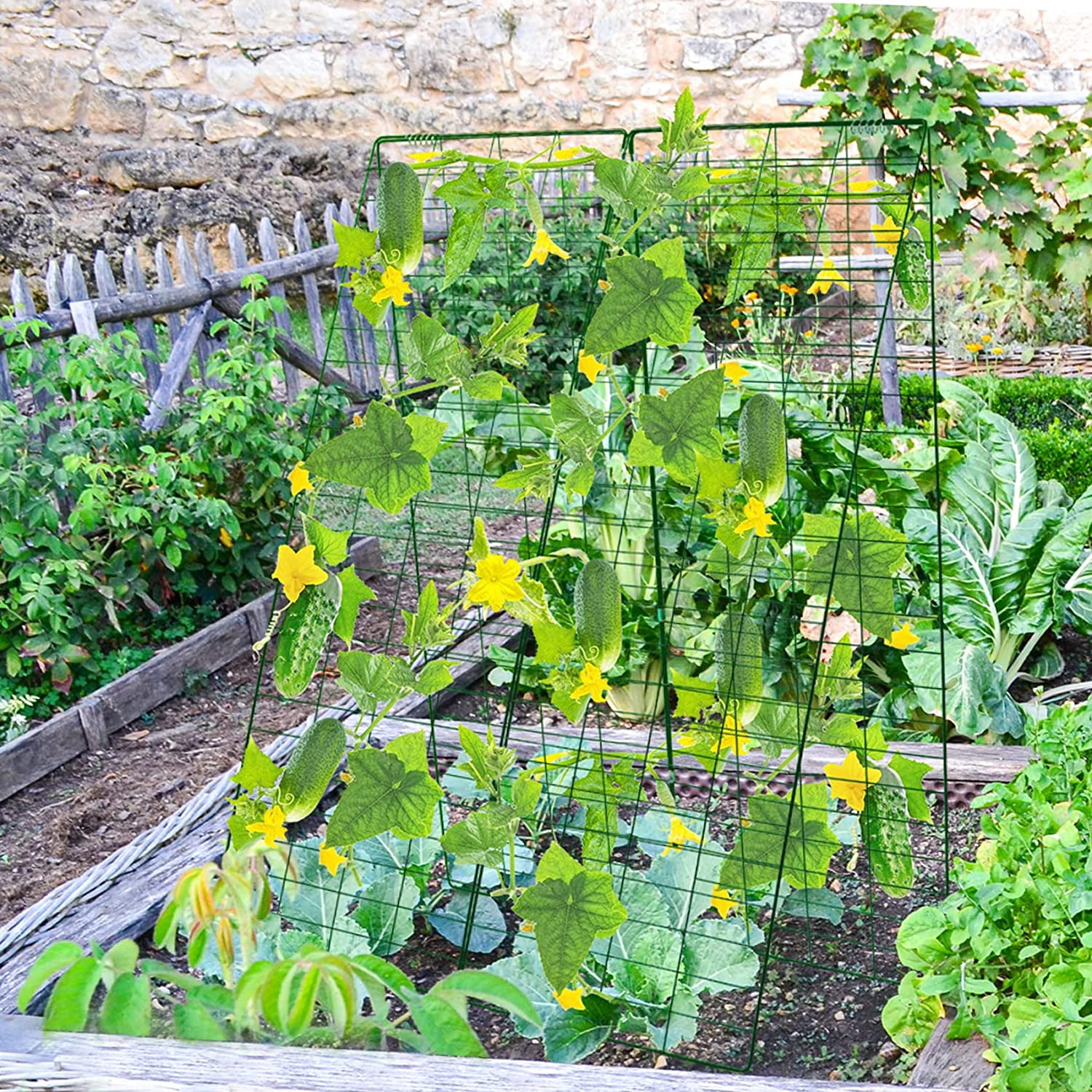 48" H x 34" L Cucumber Trellis for Garden A Frame, Garden Trellis for Climbing Plants Outdoor for Raised Bed(1 Packs)