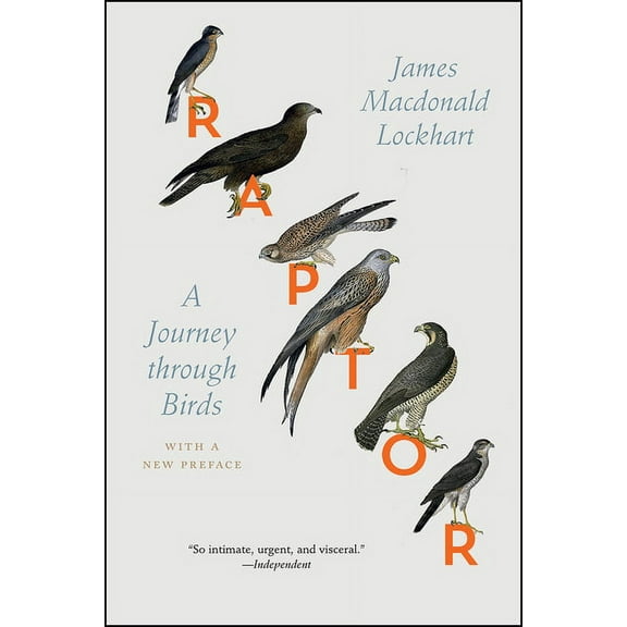 Raptor: A Journey Through Birds, (Hardcover)