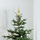 thumbnail image 4 of unbranded Esférico Dorado En Plástico Para De Árbol Festivo, 4 of 6