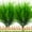 Green Grass, variant on 12Pcs Artificial Wheat Grass Faux Shrubs Plastic Greenery Plants Indoor Outdoor Home Garden Kitchen Bathroom Office Verandah Wedding Décor (Green)