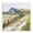 Blue Barn Lane, variant on Stupell Industries Rustic Flower Barn Canvas Wall Art, design by Amber Sterling