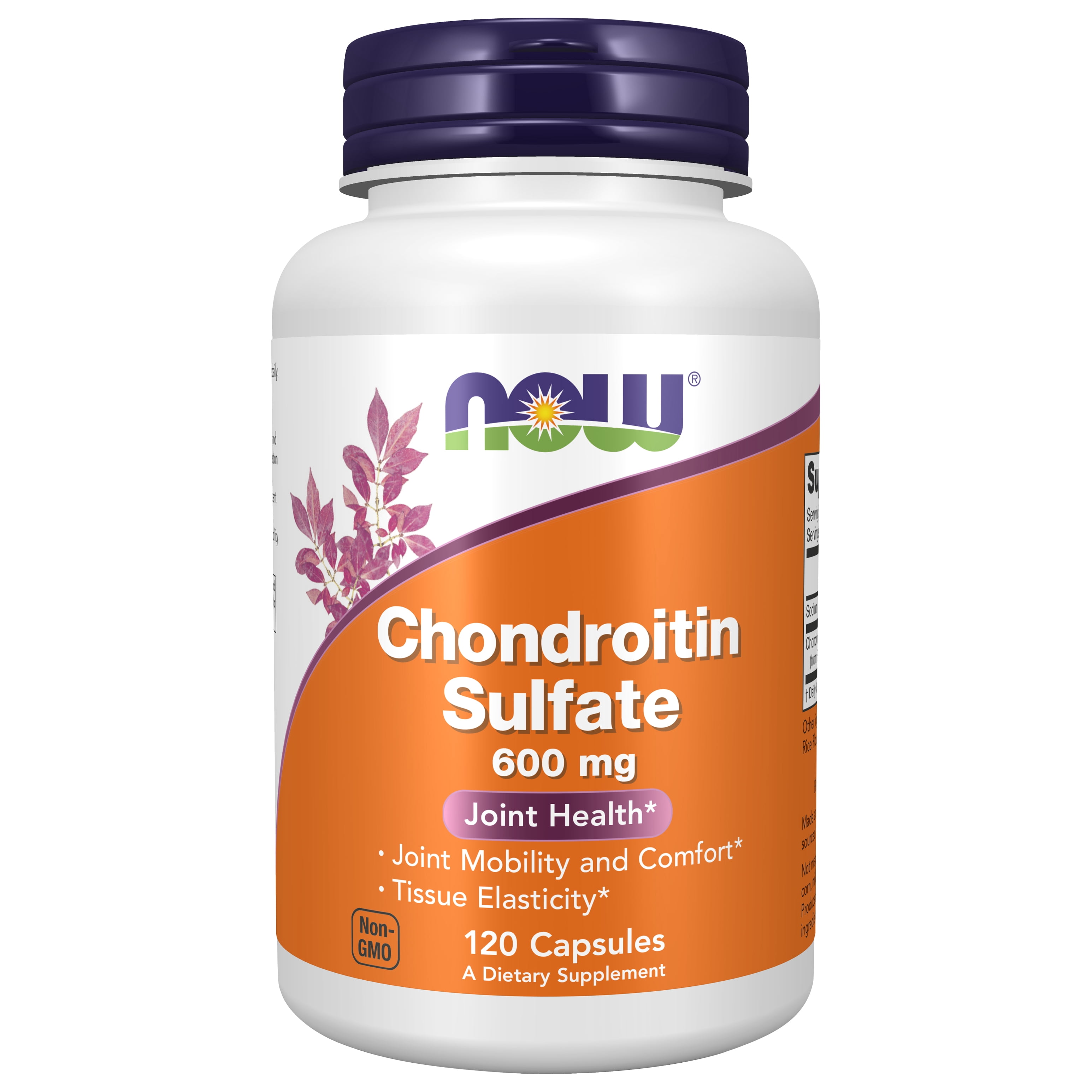 Chondroitin Sulfate 600 mg - 120 Capsules
