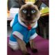 thumbnail image 4 of Mascota Gato Perro Cachorro Suave Ropa De Algodón Cálido Lindo Conejo De Dibujos Animados Disfraces Accesorios Yuarrent PT001565-00, 4 of 6