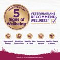 thumbnail image 3 of Wellness, Complete Health Small Breed, Turkey & Oatmeal - Dry Dog Food, 3 of 4