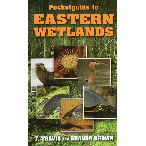 Pre-Owned Pocketguide to Eastern Wetlands (Paperback) 0811711730 9780811711739