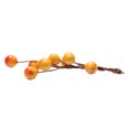 thumbnail image 3 of Horquillas de bayas de frutas esmeriladas artificiales, accesorios para el cabello para nupcial, 3 uds. naranja Yuyangstore Horquillas de bayas artificiales, 3 of 8