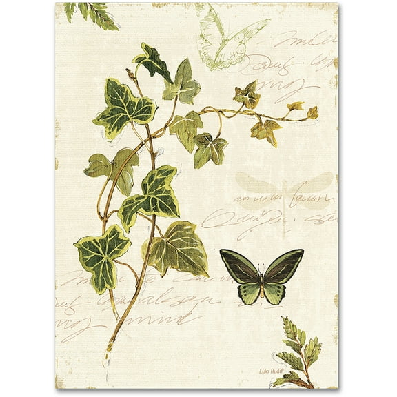 Trademark Fine Art "Ivies and Ferns IV" Canvas Art by Lisa Audit