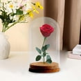 thumbnail image 6 of Preserved Flower Glass Glass Display Case DIY Stylish Microlandscape Holder Glass Dome Cloche Cover for Table Home 9cmx15cm, 6 of 8