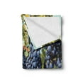 thumbnail image 2 of Grape Soft Flannel Fleece Blanket, Rows of Wine Fruits in Tuscany Italy Organic Natural Harvest Countryside, Cozy Plush for Indoor and Outdoor Use, 60" x 80", Avocado Green Ceil Blue, by Ambesonne, 2 of 5
