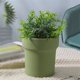 thumbnail image 5 of Macetas Color Sólido Simple Recto Pie Cerrado Redondo Cerámica Macetas Hogar Plantas Suculentas Plantas Verdes Flores Macetas, 5 of 7