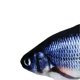 thumbnail image 2 of Electric Moving Fish Rechargeable Realistic Plush PP Cotton Simulation Wagging Fish for Gifts Toys Grass Carp, 2 of 4