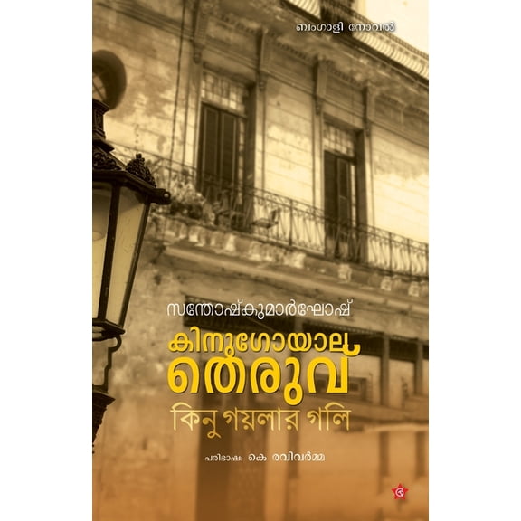 Kinugoyala theruvu, (Paperback)