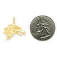 thumbnail image 2 of 10K Yellow Gold Eagle Head Charm Jewelry FindingKing, 2 of 4