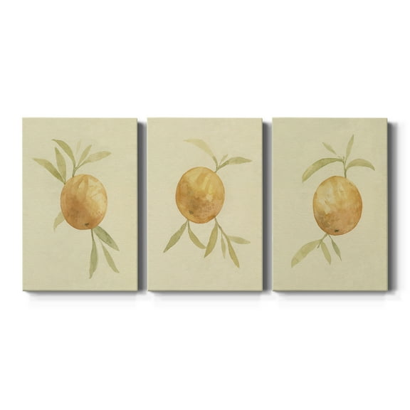 Dappled Oranges I Premium Gallery Wrapped Canvas - Ready to Hang - 8 x 12 Each