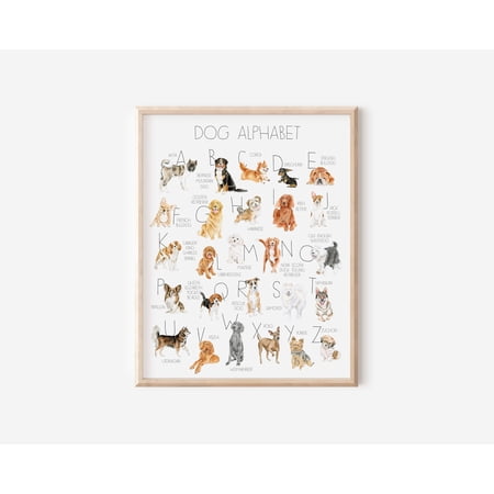 Dog Alphabet Watercolor Art Breed Puppy Nursery Dog Themed Lover Kids Variant 4 Poster