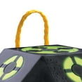 thumbnail image 2 of Rinehart Signature/Competition Series 18-1 500 FPS Arbalète Target, 2 of 3