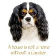 thumbnail image 3 of CafePress - Cavalier King Charles Spaniel White T Shirt - Women's Classic T-Shirt, 3 of 4