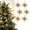 Champagne, variant on 6 Pack Glitter Star Christmas Tree Ornaments, 3.94 Inch Spiky Star Hanging Decorations, 3D Starburst Xmas Tree Ornament for Holiday Wedding Home Decor, Champagne