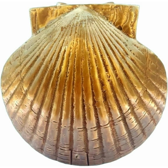 Door Knocker - Scallop Shell Brass – Nautical Coastal Front Door Decor