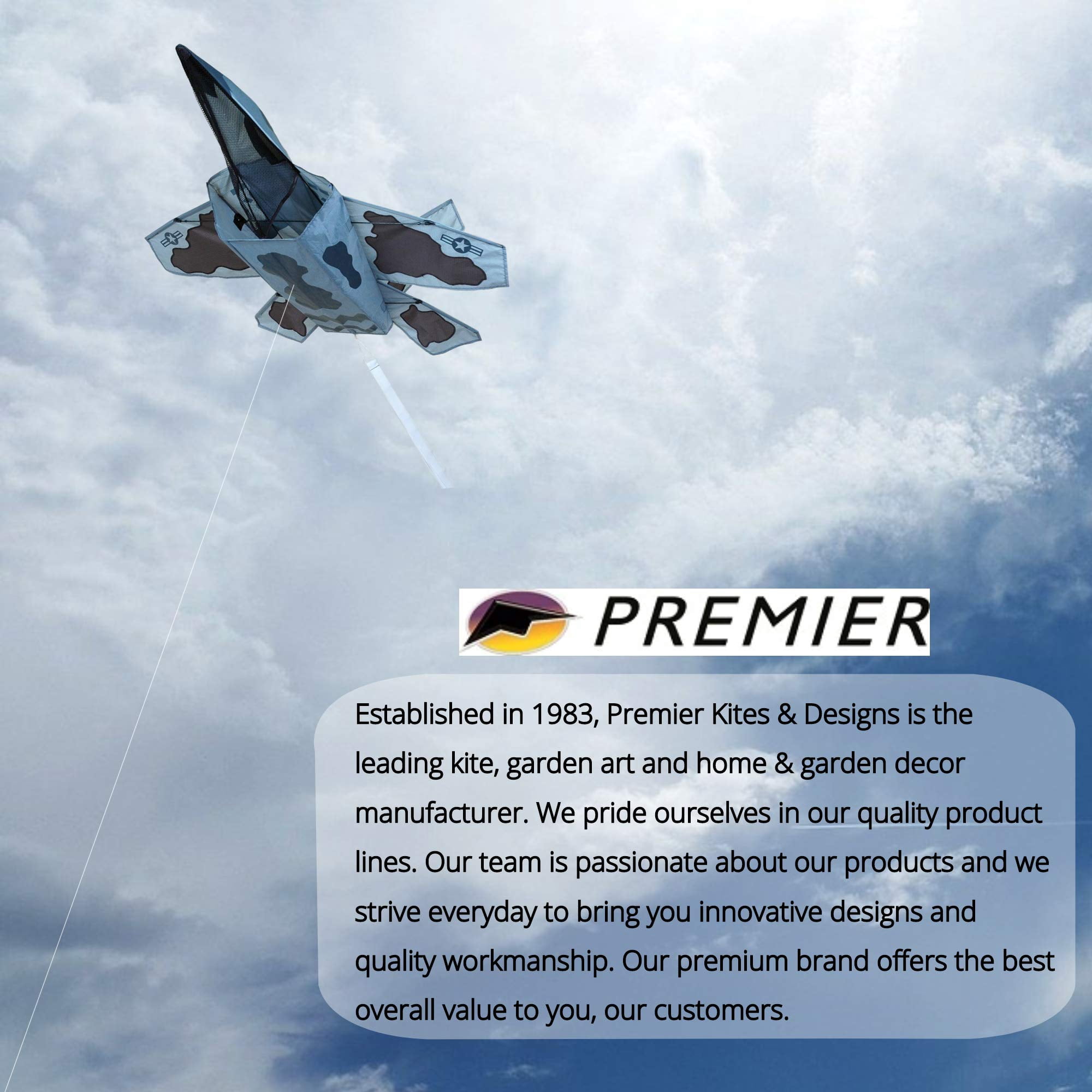 Premier Kites 3D Jet Kite Stealth Attack Design | Easy to Assemble and Easy to Fly 3D Kite | an Enjoyable Kite for Adults and a Thrilling Kite for Kids | Great 3D Kite for The Beach or Park
