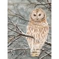 thumbnail image 2 of Bawden, Angela 19x24 White Modern Wood Framed Museum Art Print Titled - Snowy Owl, 2 of 4