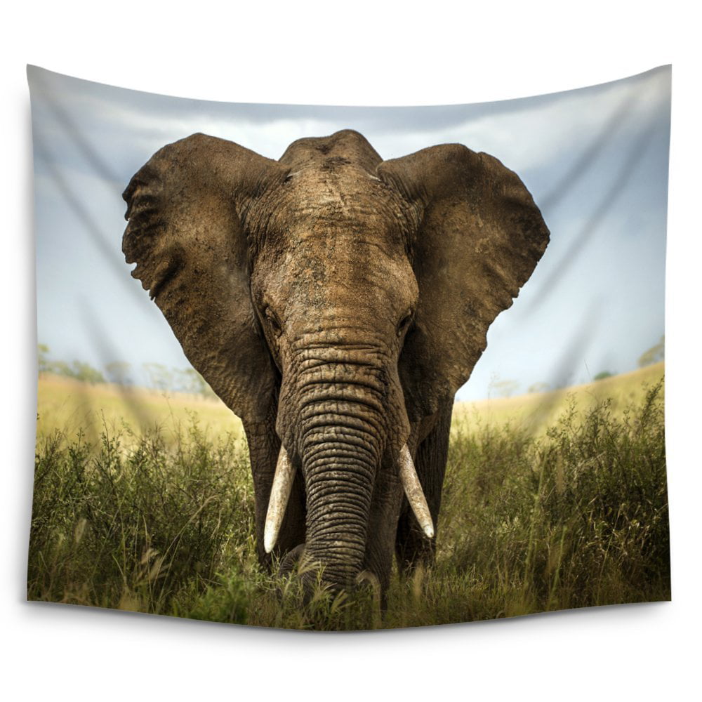 Chengsan Elephant Tapestry Elephant On The Savannah Alone Wall Hanging Tapestry 59 x 51 Inches Inches Polyester Fabric Wall Art Tapestries Home Decor 