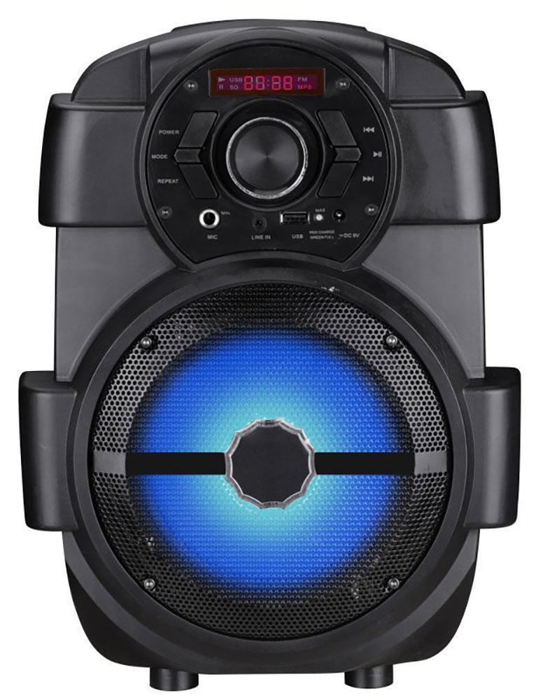 professional battery speaker system