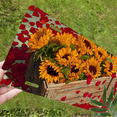 thumbnail image 5 of 1 Pcs 2D Flat License Plate Covers & Frames, Sunflowers For Decorative Front, Waterproof For Decoration Aluminum License Plate Covers & Frames Cover For Men Women, 12" X 6", 5 of 6