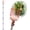 35-68", variant on Fruit Picker Pole Tool with Basket Telescoping, Adjustable Apple Picker Pole 35-170 inch Long Handle, Mango Orange Avocado Fig Acorn Lemon Pear Pomelo Chery Picker for Tree