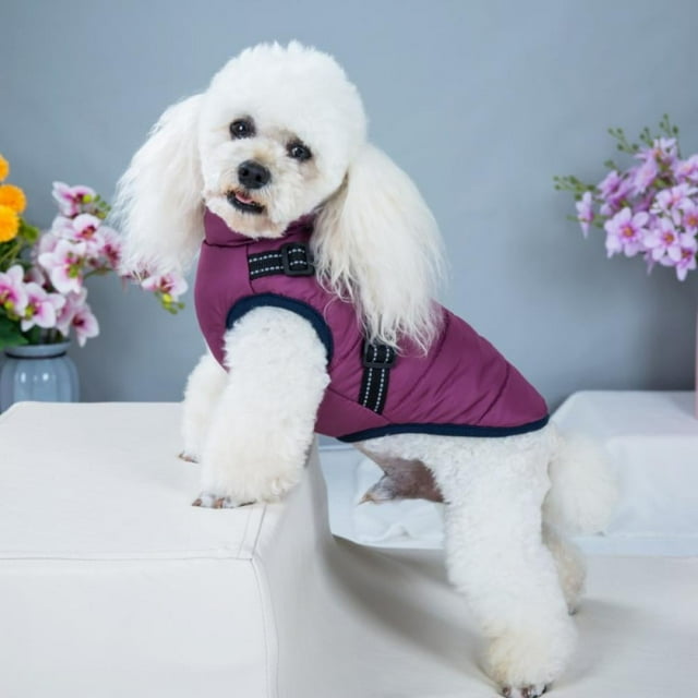POINTERTECK Wuffmeow Cozy Pet Dog Cold Weather Coats Waterproof Windproof Winter Dog Jacket with Durable D-ring and Reflective Vest for Small Medium Large Dogs