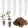 thumbnail image 1 of Jinsinto 50 piece，plant glasses in the net with plastic ash a stamp shape, 1 of 5