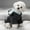 Gray, variant on chaungfeng Pet Clothing Dog Clothes, Two Legged Down Jackets for Pet to Keep Warm In Winter, Cottons Padded Vests for Small to Medium Dogs, White M